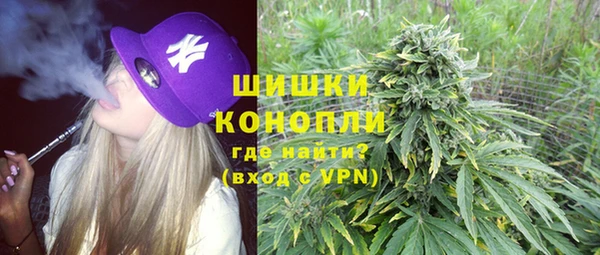 соль ск Алексин