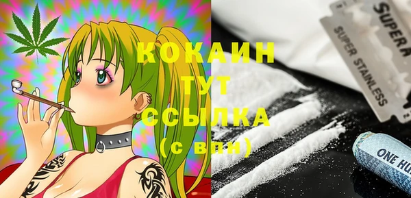 соль ск Алексин
