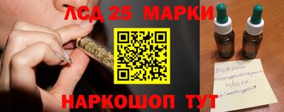 шишки Новокубанск