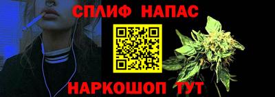 шишки Новокубанск