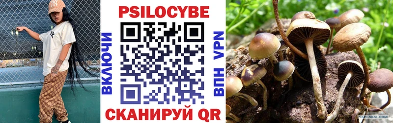 Псилоцибиновые грибы GOLDEN TEACHER  Ялта 