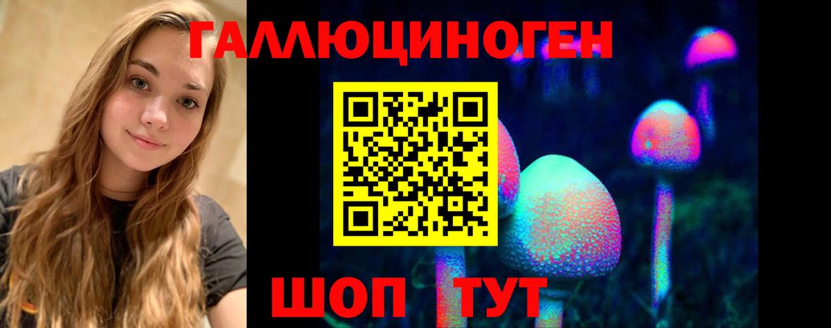 Галлюциногенные грибы Psilocybine cubensis Ялта